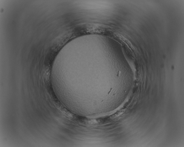 X0000089670513200707121227