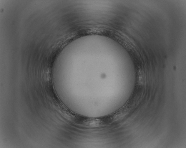 X0000089670514200707121227