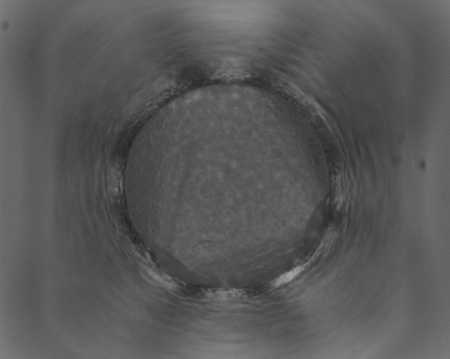 X0000089670517200707121227