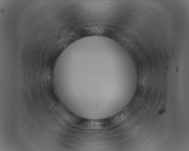 X0000089670518200707121227