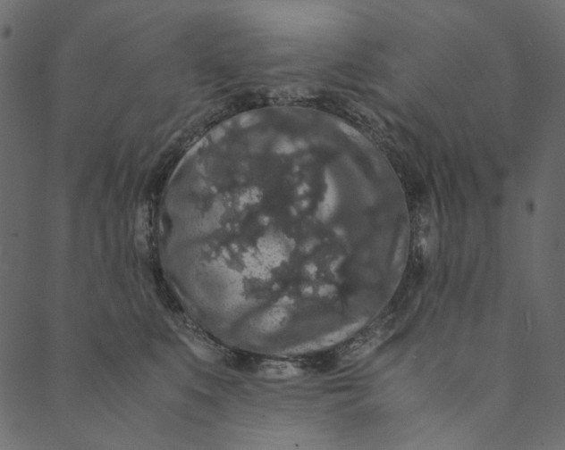 X0000089670519200707121227