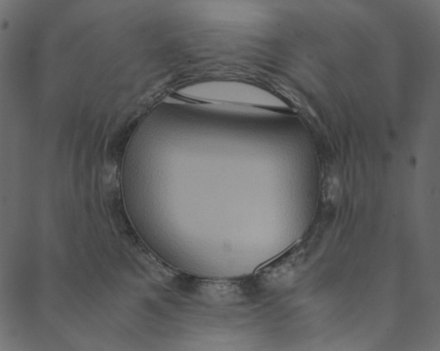 X0000089670521200707121227