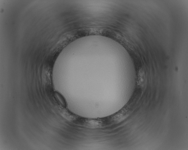 X0000089670522200707121227