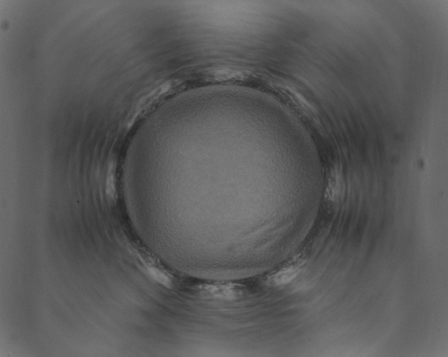 X0000089670524200707121227