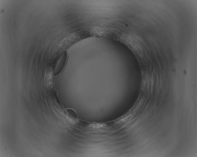 X0000089670526200707121227