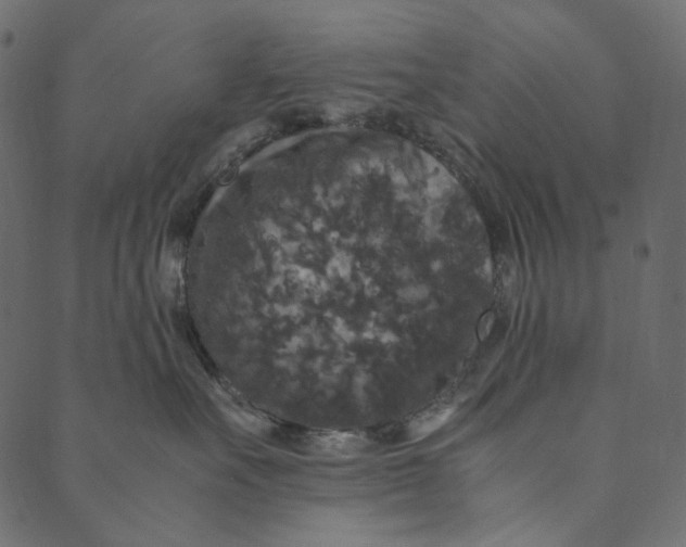 X0000089670527200707121227