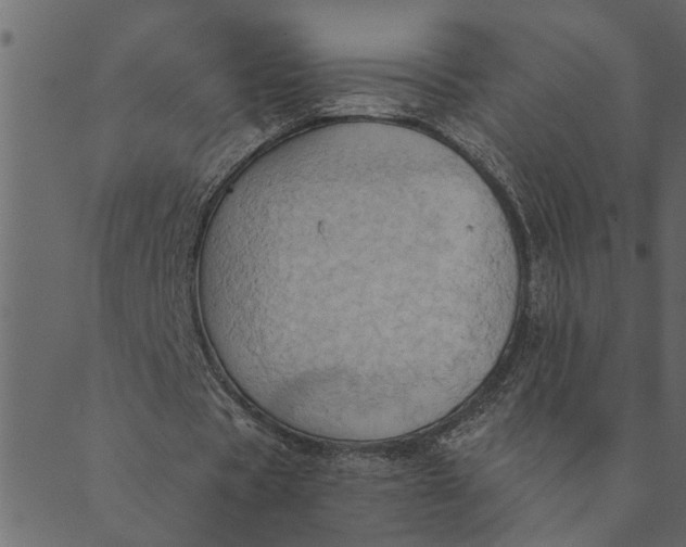 X0000089670529200707121226