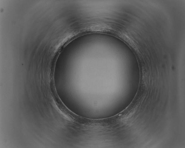 X0000089670530200707121226