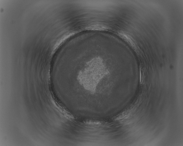 X0000089670531200707121226