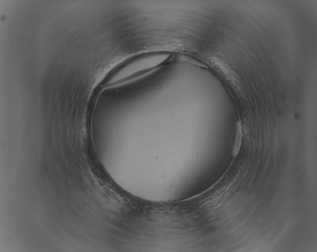 X0000089670532200707121226