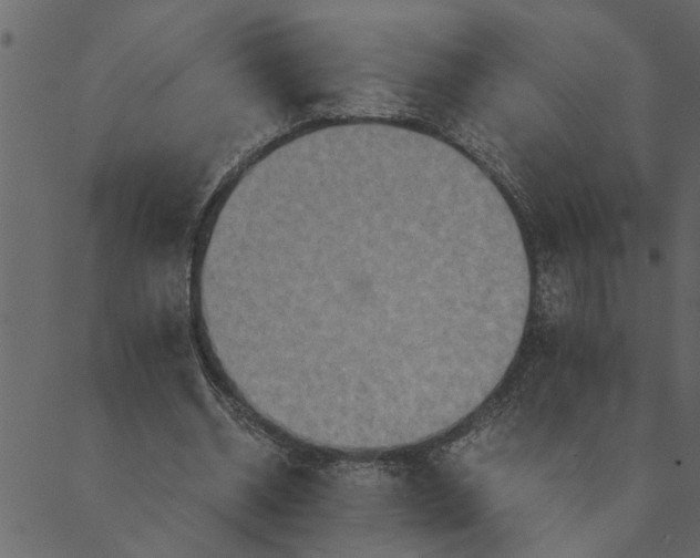 X0000089670534200707121226