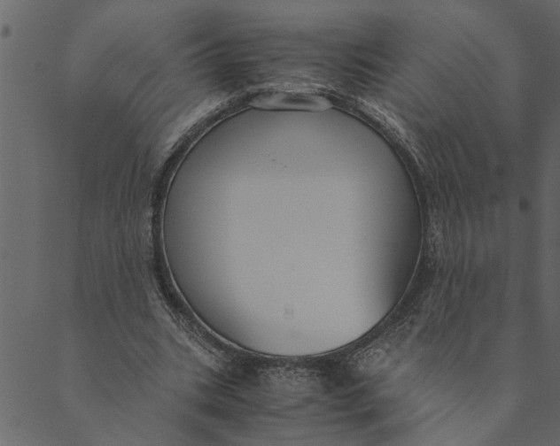 X0000089670535200707121226