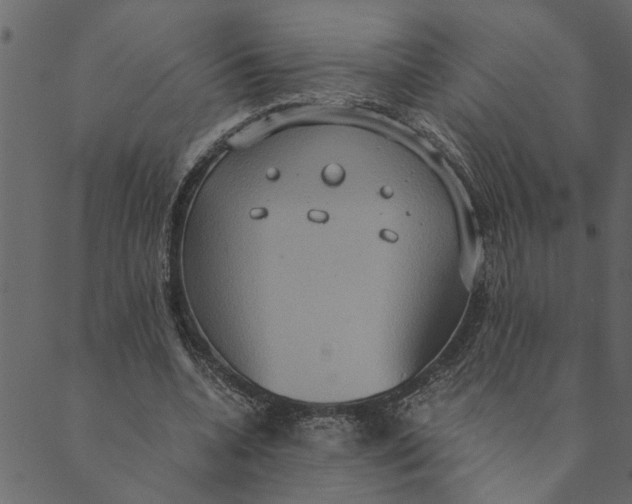 X0000089670536200707121226