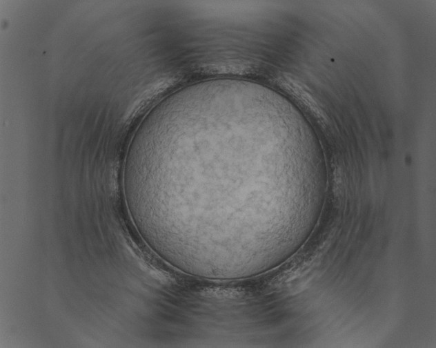 X0000089670537200707121226