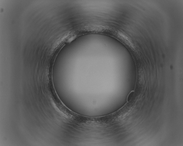 X0000089670538200707121226