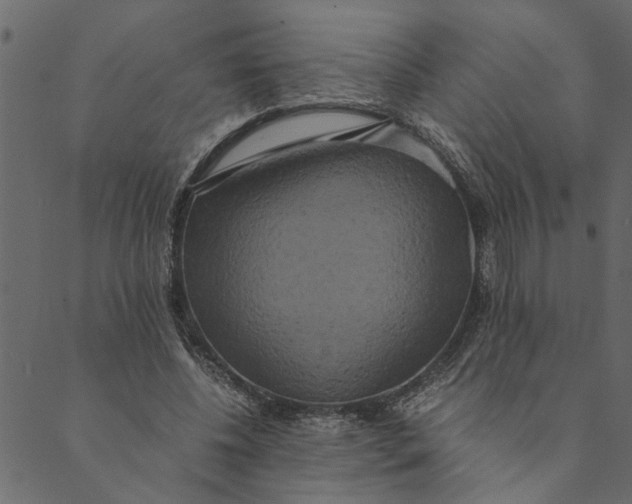 X0000089670540200707121226