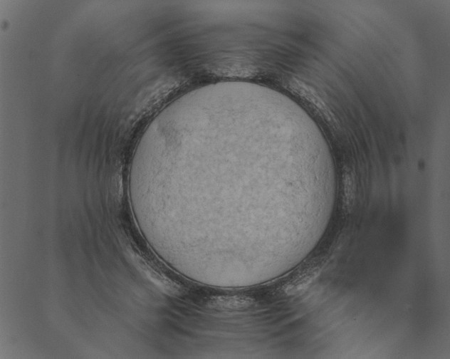 X0000089670541200707121226