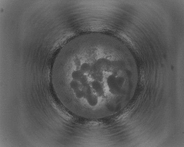 X0000089670542200707121226