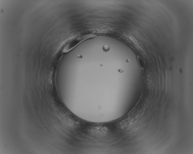 X0000089670543200707121226