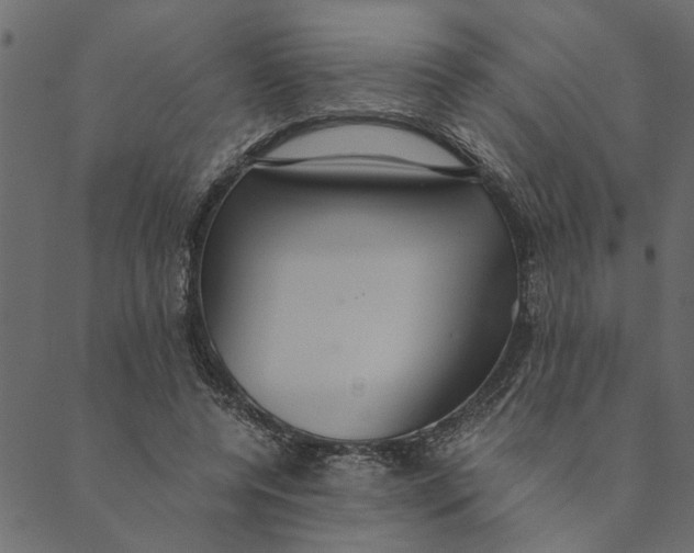 X0000089670544200707121226