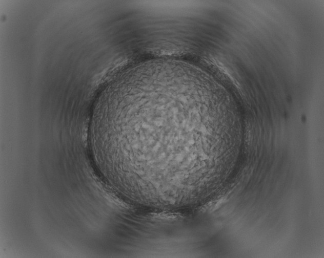 X0000089670545200707121226