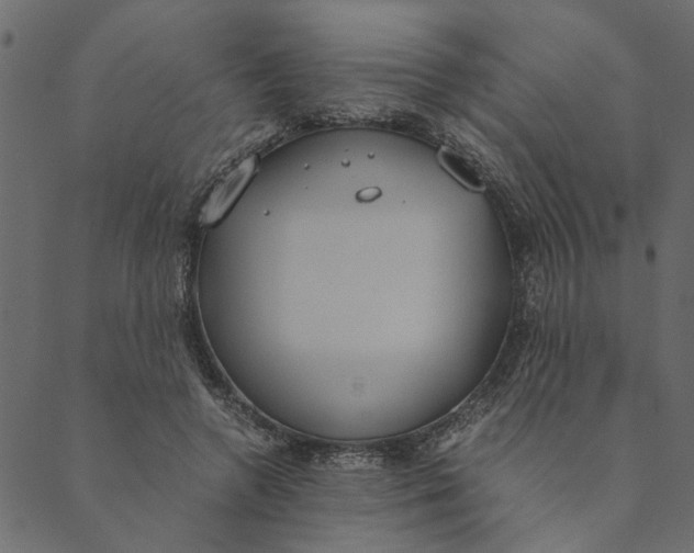 X0000089670546200707121226