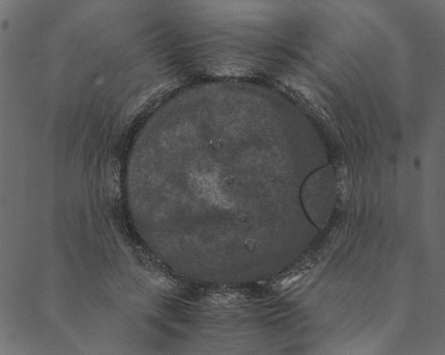 X0000089670547200707121226