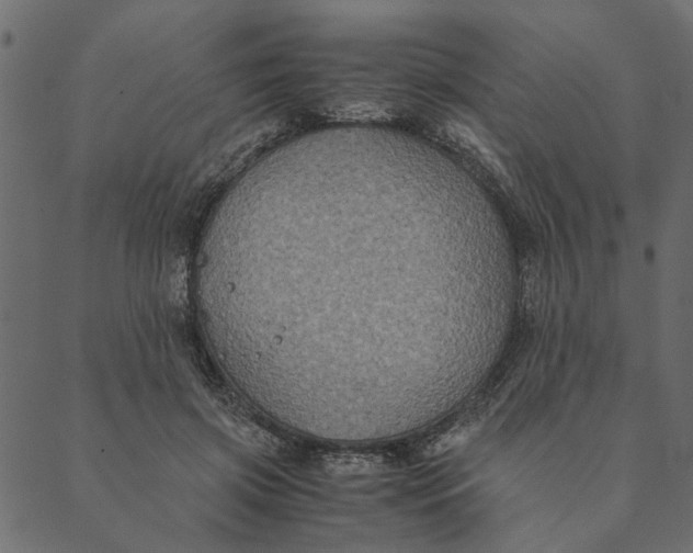 X0000089670549200707121226