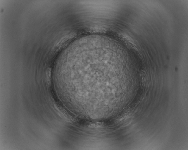 X0000089670550200707121226