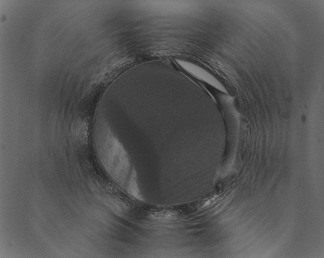 X0000089670551200707121226