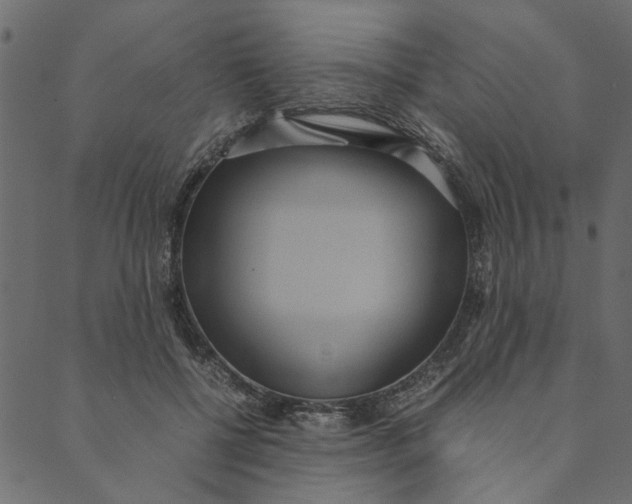 X0000089670552200707121226