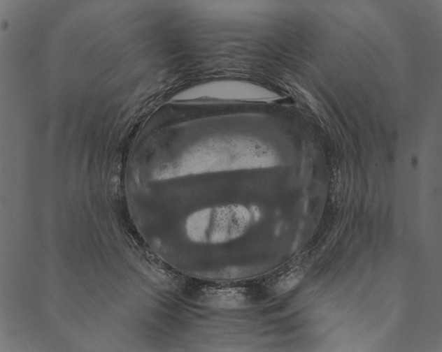 X0000089670553200707121226