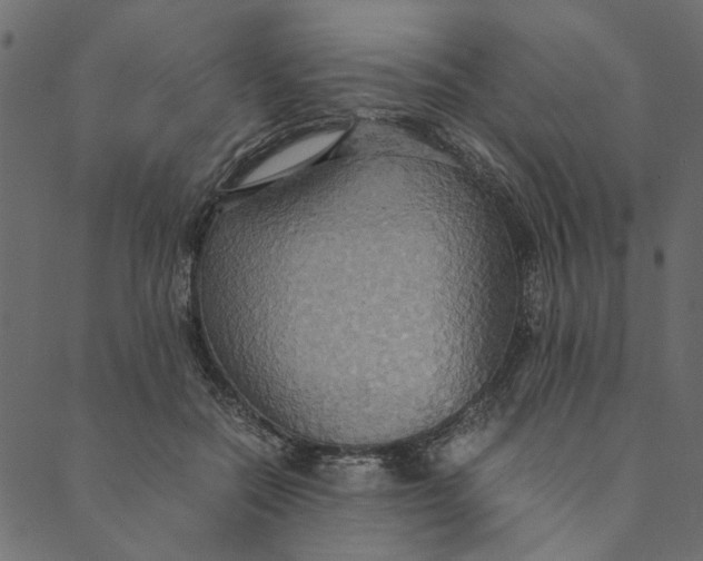 X0000089670554200707121226