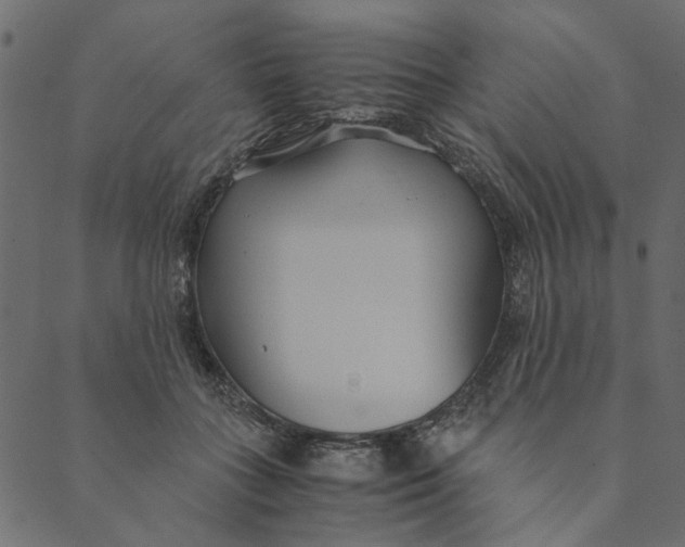 X0000089670555200707121226