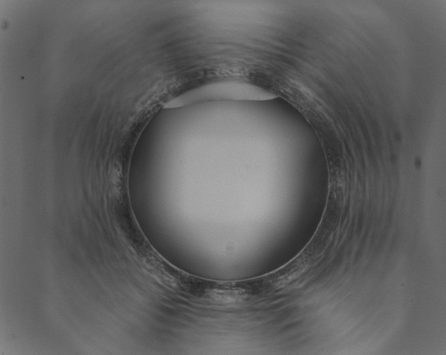 X0000089670556200707121226