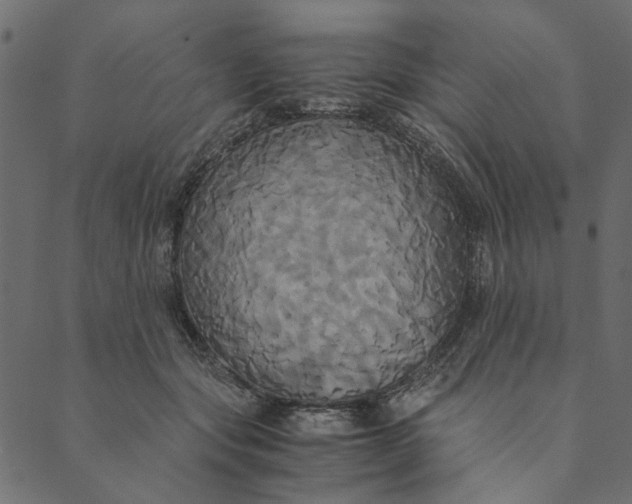 X0000089670557200707121226