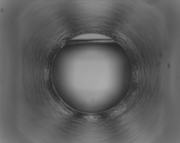 X0000089670558200707121227