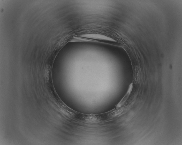 X0000089670562200707121227