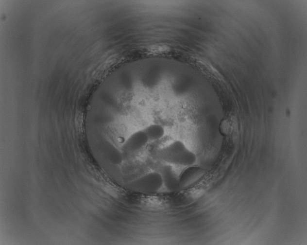 X0000089670565200707121227