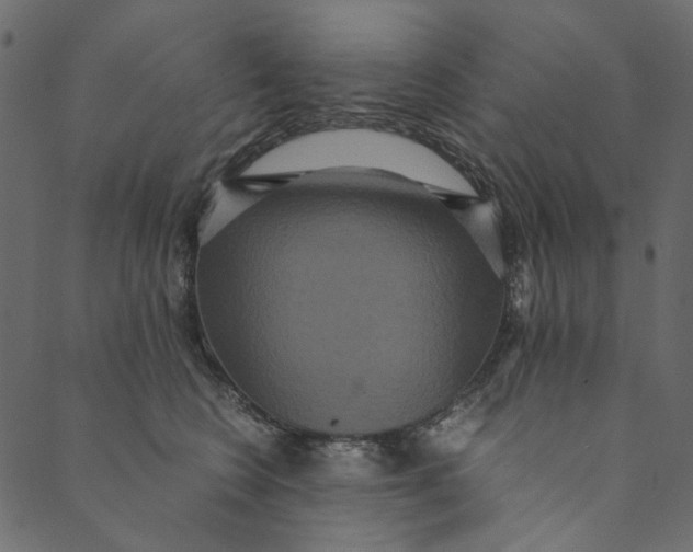 X0000089670566200707121227