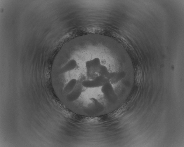 X0000089670569200707121227