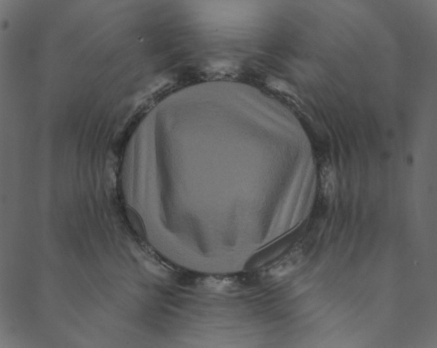 X0000089670570200707121227