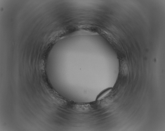 X0000089670571200707121227