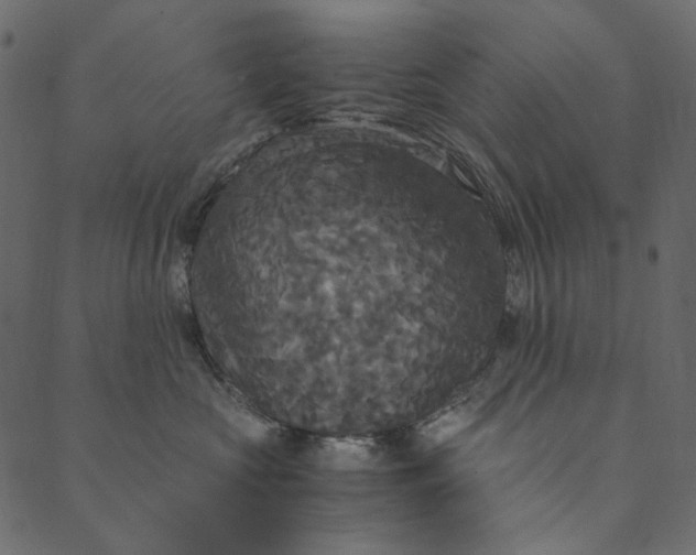 X0000089670573200707121227