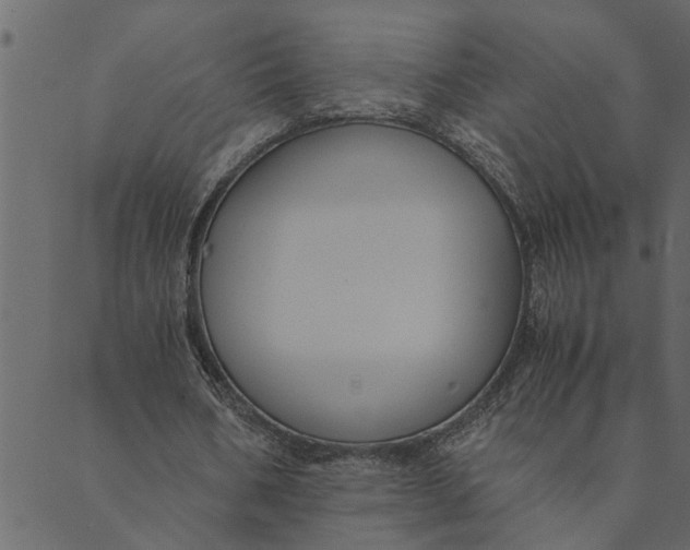 X0000089670578200707121226