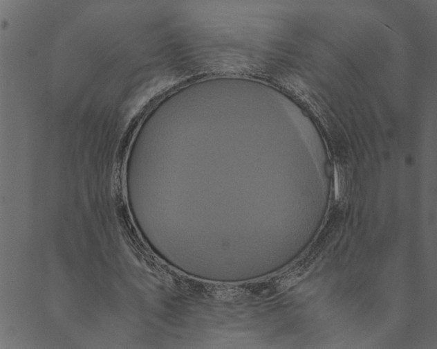 X0000089670579200707121226