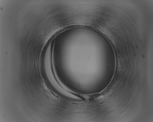 X0000089670580200707121226