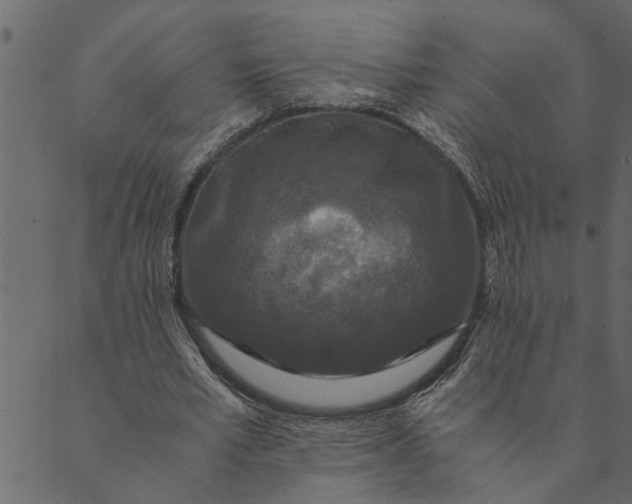 X0000089670581200707121226