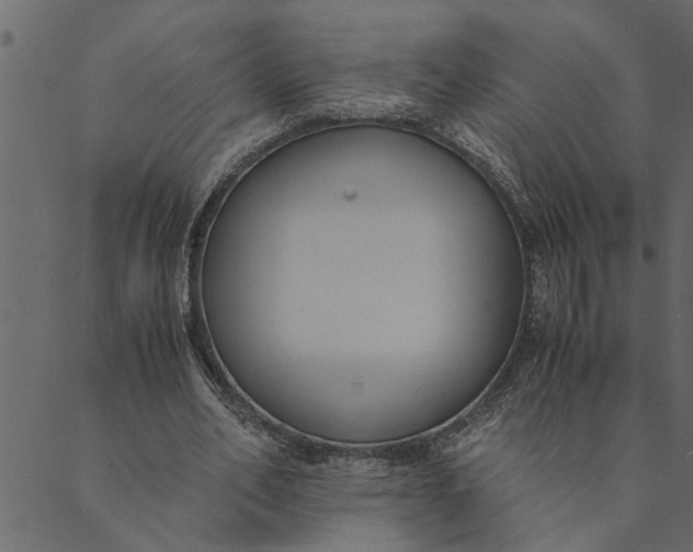 X0000089670582200707121226