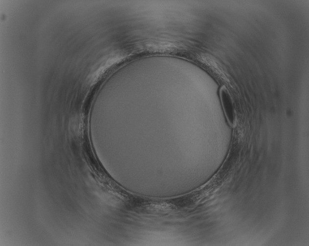 X0000089670583200707121226